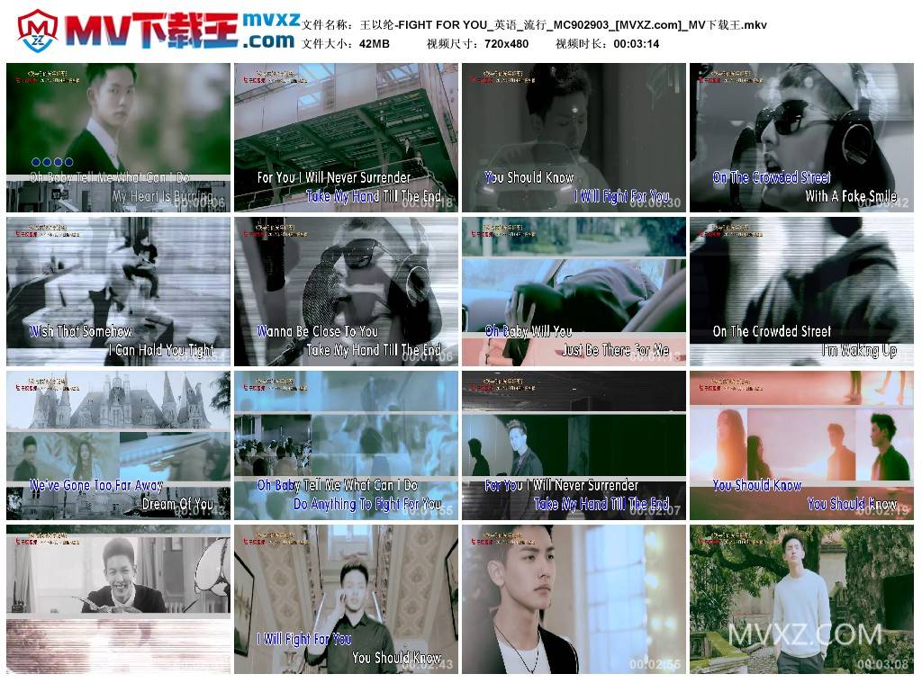 王以纶-FIGHT FOR YOU_英语_流行_MC902903